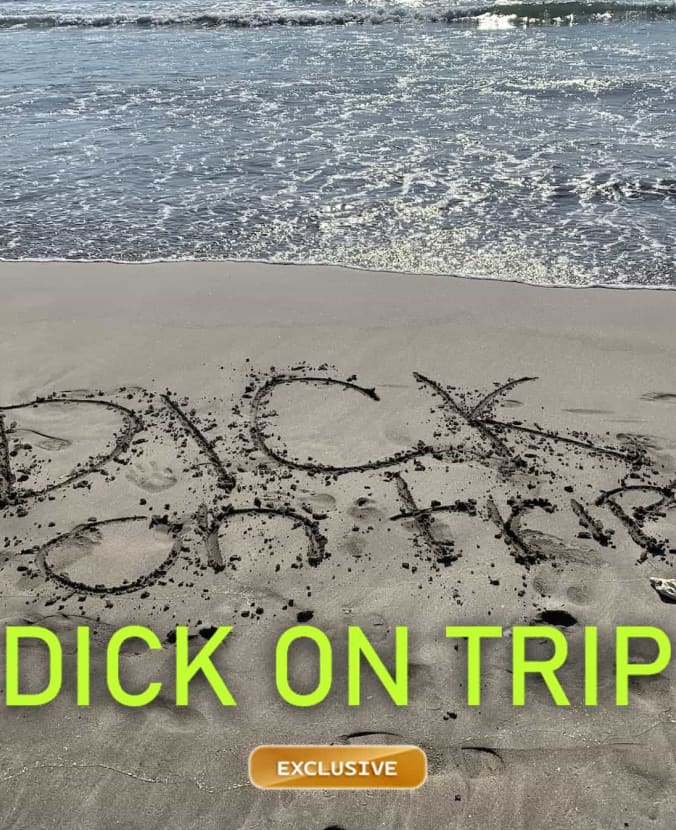 Dick na wycieczce